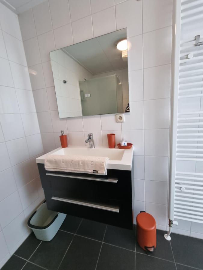 Rietmeer Vakantiehuis Friesland Gaastmeer Extérieur photo