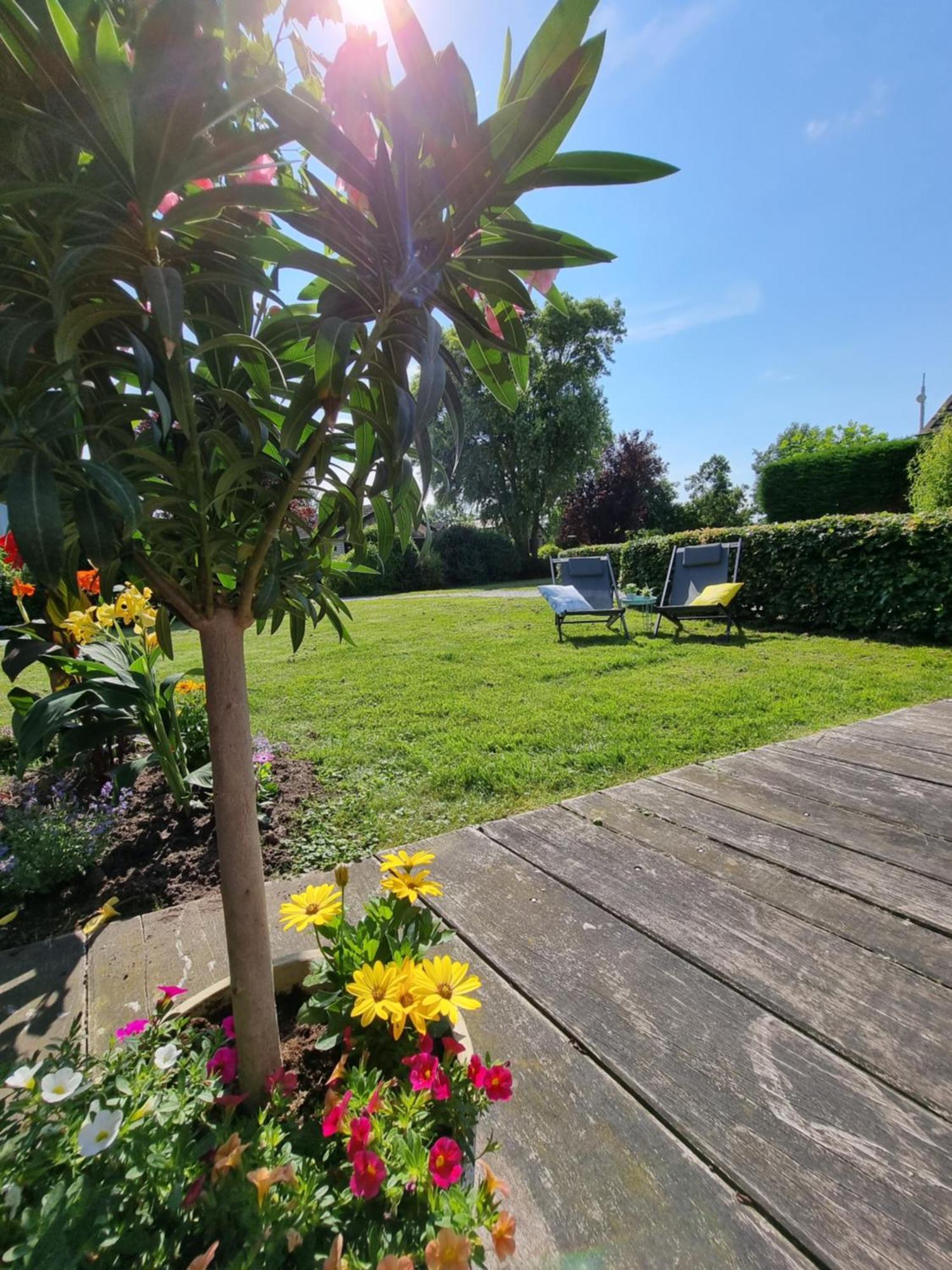 Rietmeer Vakantiehuis Friesland Gaastmeer Extérieur photo
